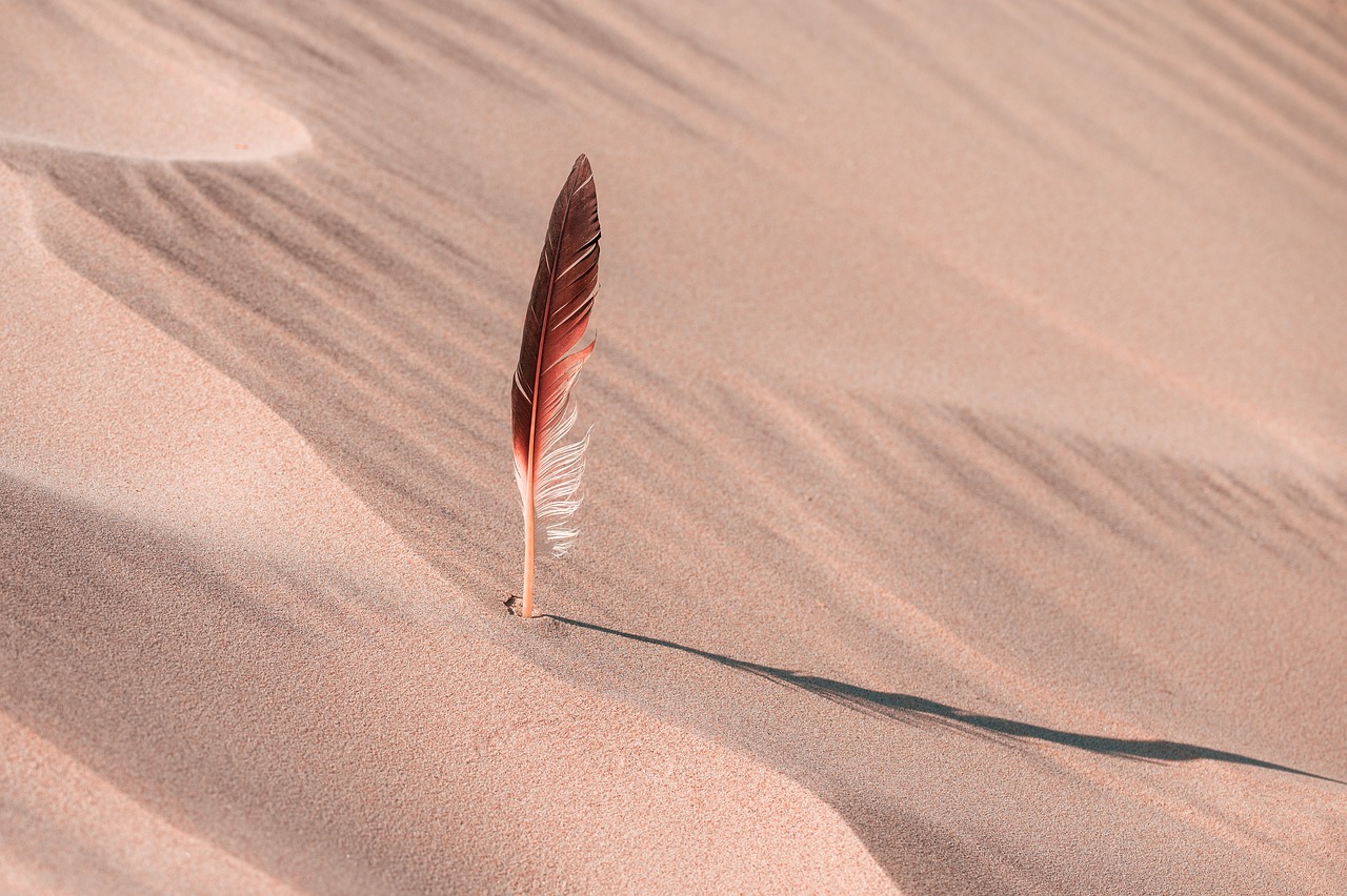 Rajasthan's Desert Festival - A Kaleidoscope of Colors and Traditions